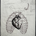 LabNotebook 14, State of My Heart