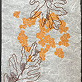 White Oak Catkins, Decaying